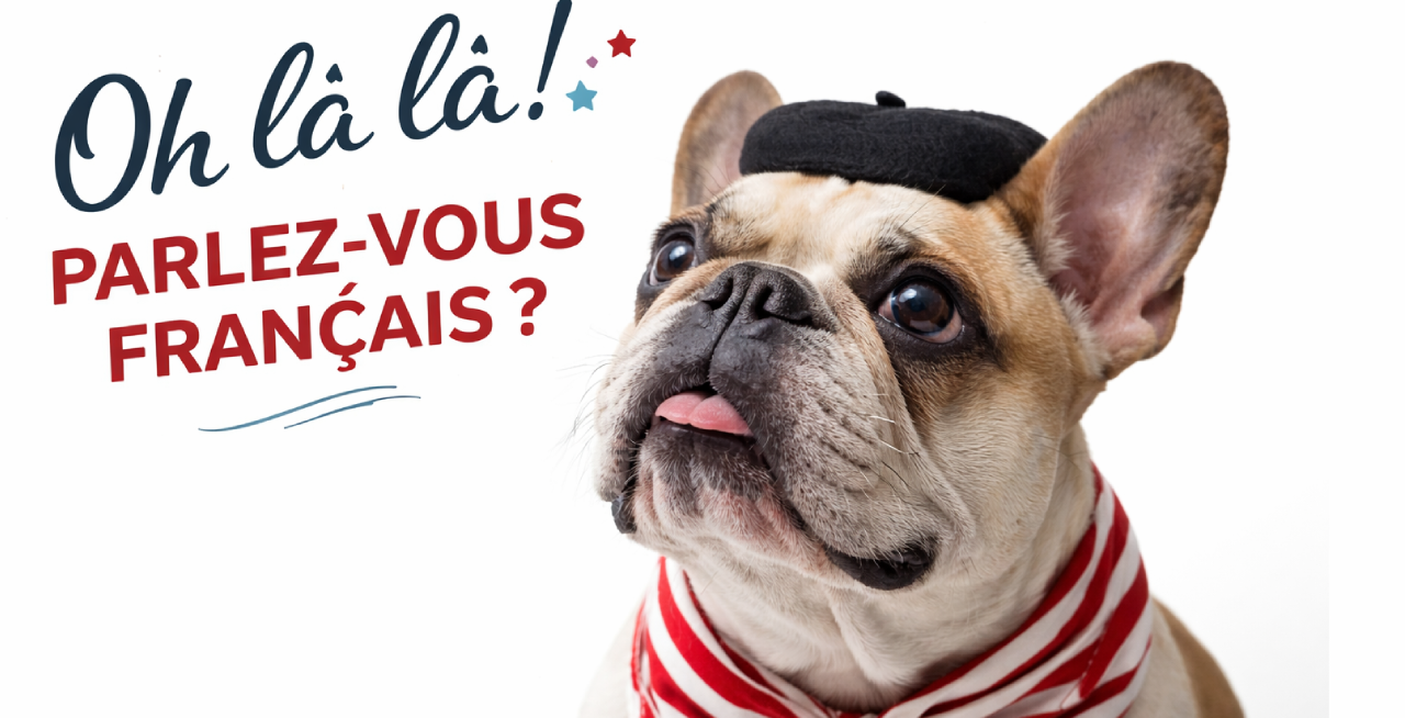 Francouzština vám otevře svět