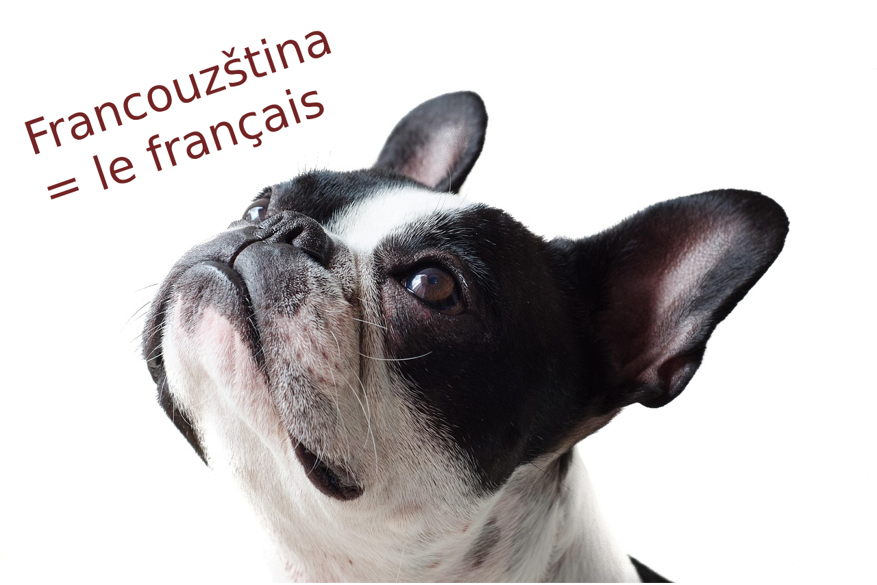 francouzstina vam otevre svet