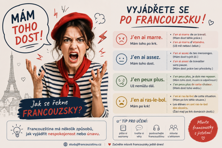 jak_se_rekne_francouzsky_mam_toho_dost.png