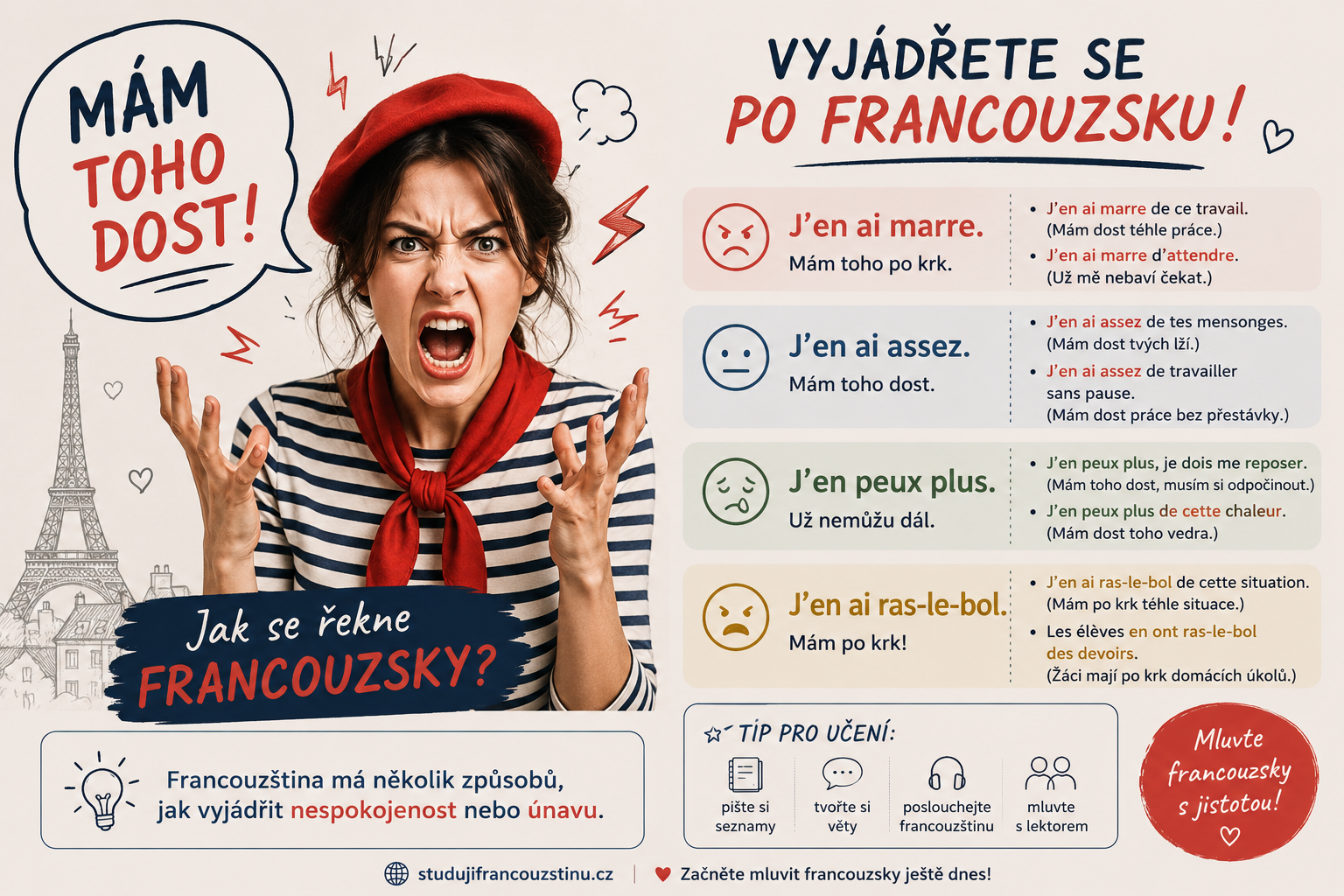jak_se_rekne_francouzsky_mam_toho_dost.png